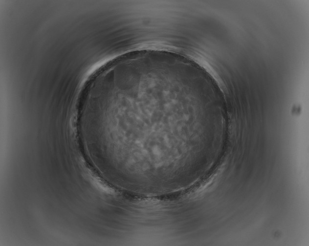 X0000094900971200711291228