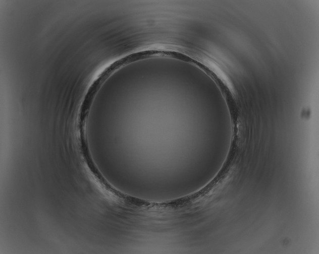 X0000094900972200711291228