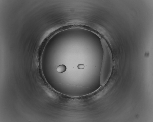 X0000094900973200711291228