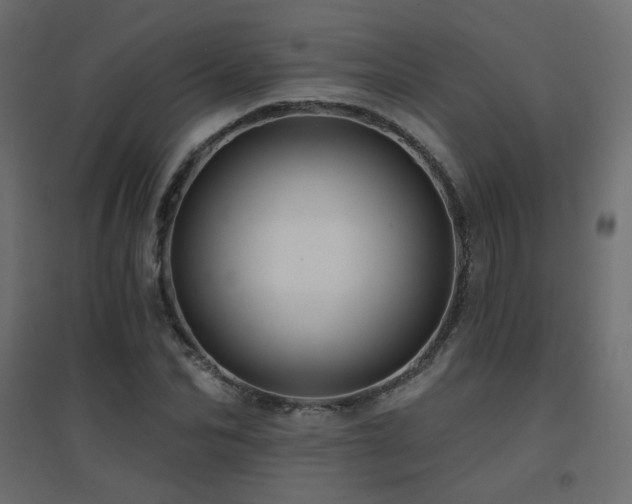 X0000094900974200711291228
