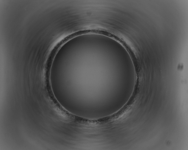 X0000094900975200711291228