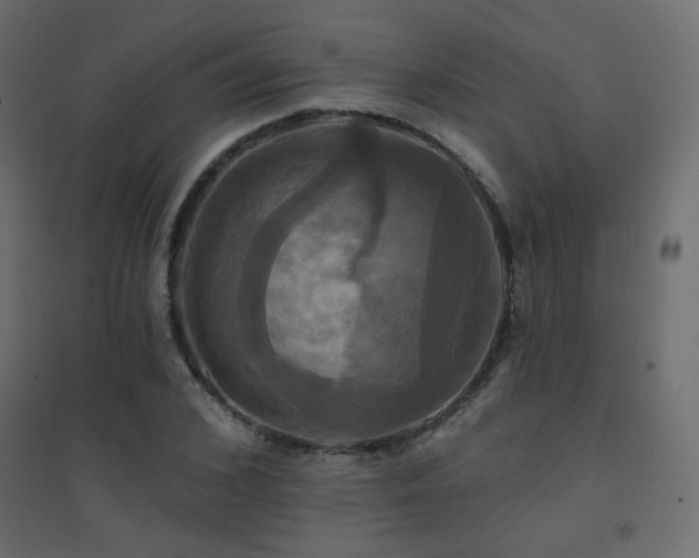 X0000094900976200711291228