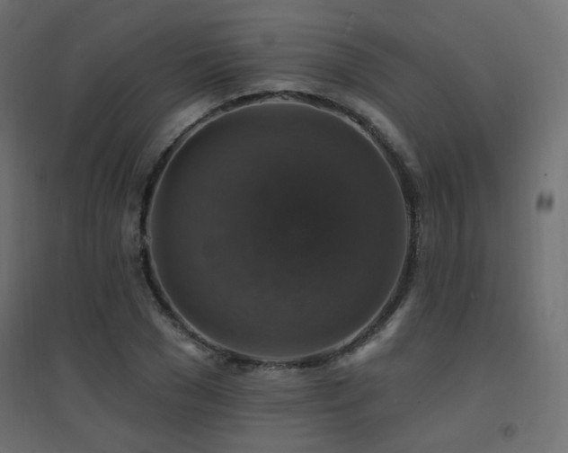 X0000094900977200711291228