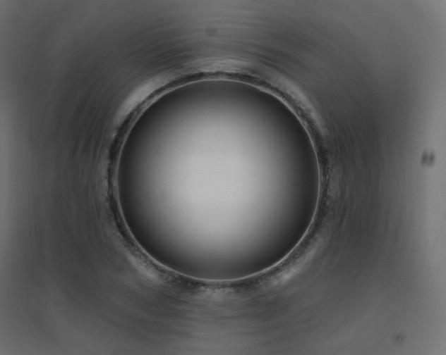 X0000094900978200711291228