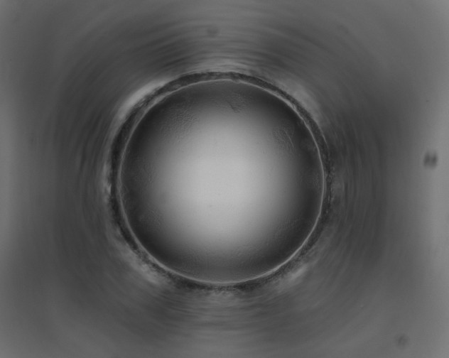 X0000094900979200711291228
