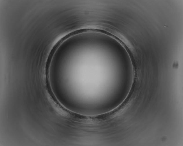 X0000094900980200711291228