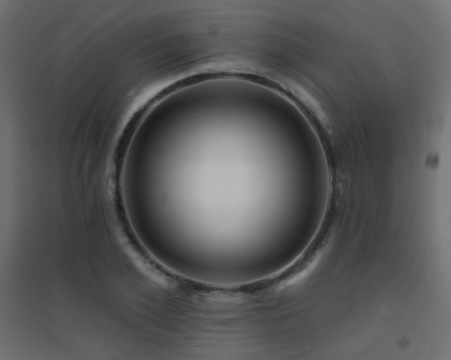 X0000094900981200711291228
