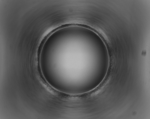 X0000094900982200711291228