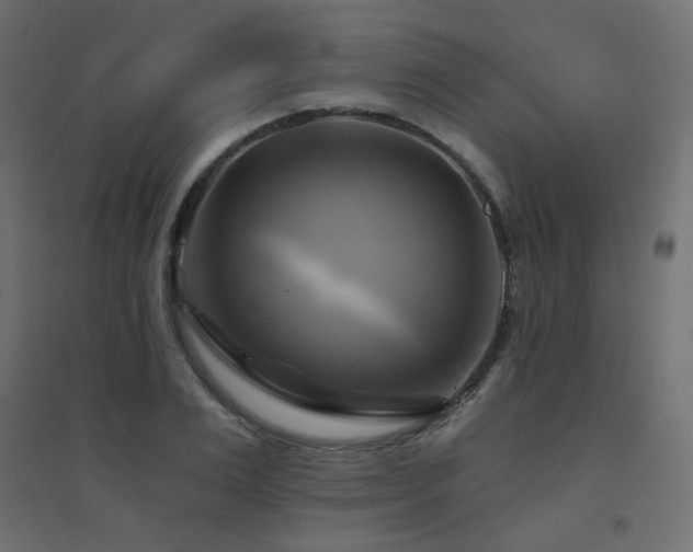 X0000094900983200711291228