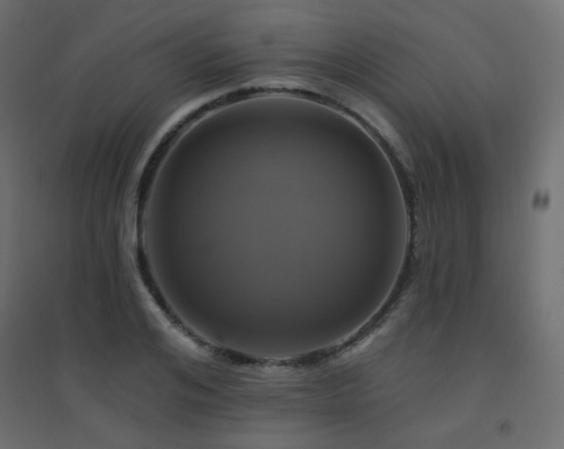 X0000094900984200711291228