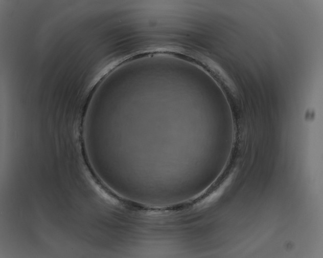 X0000094900985200711291228