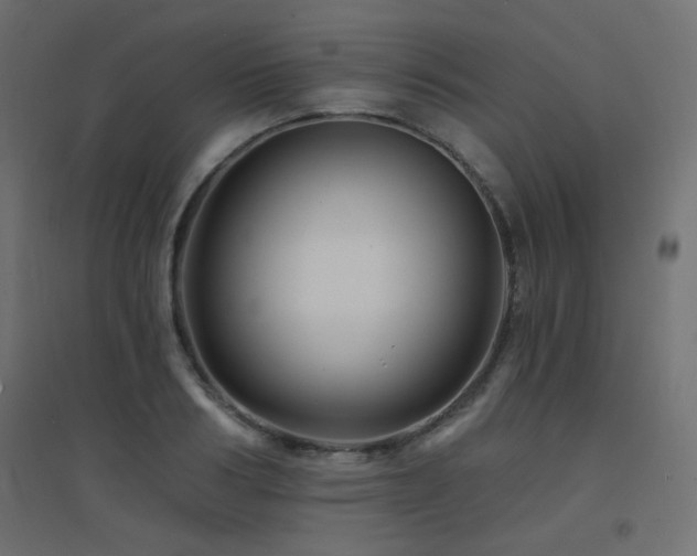 X0000094900986200711291228