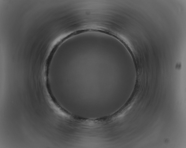 X0000094900987200711291228