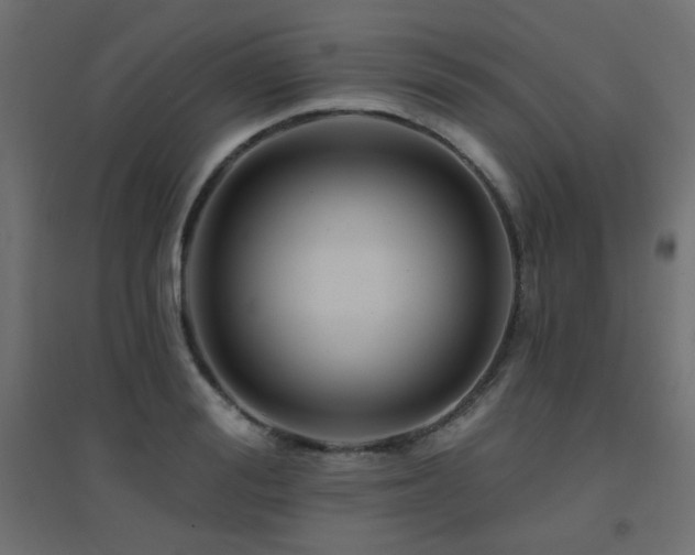 X0000094900988200711291228