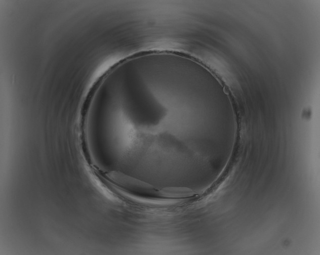 X0000094900990200711291228