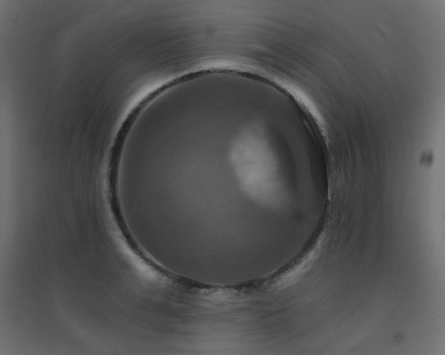 X0000094900991200711291228