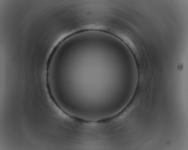 X0000094900992200711291228