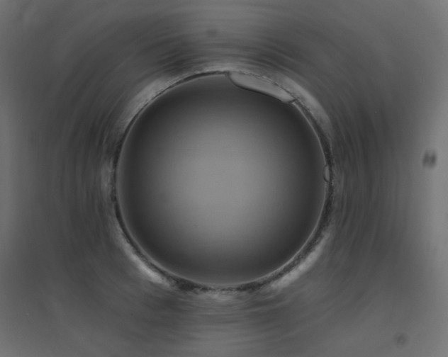 X0000094900993200711291228