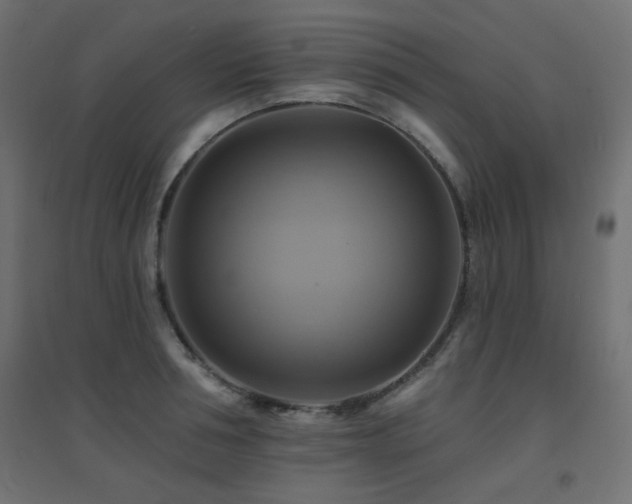 X0000094900994200711291228