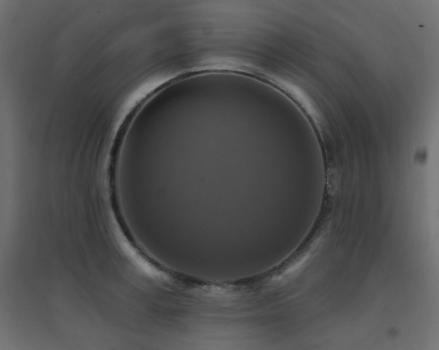 X0000094900995200711291228