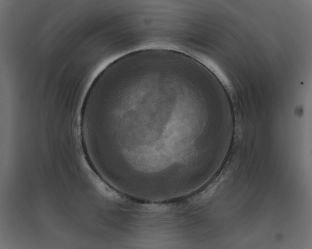 X0000094900996200711291228