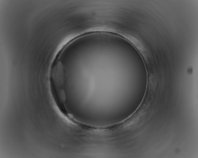 X0000094900998200711291228