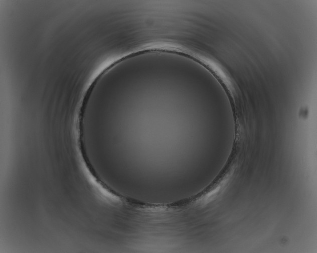 X0000094900999200711291228