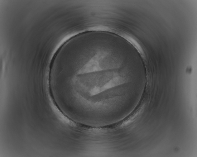 X0000094901000200711291228