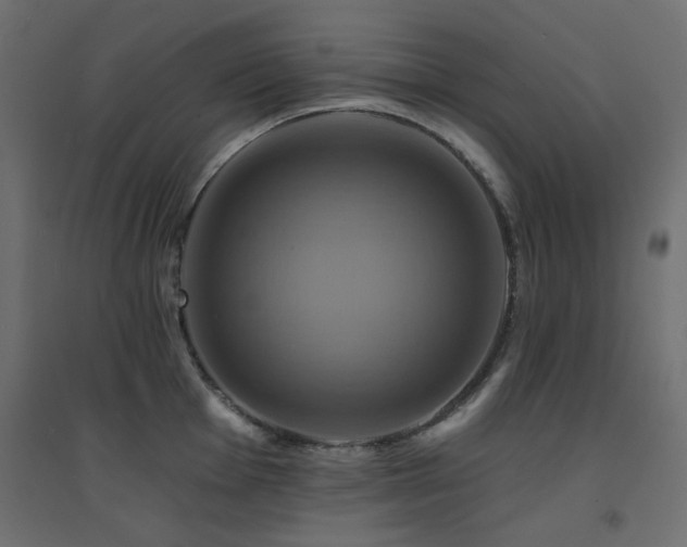 X0000094901001200711291228