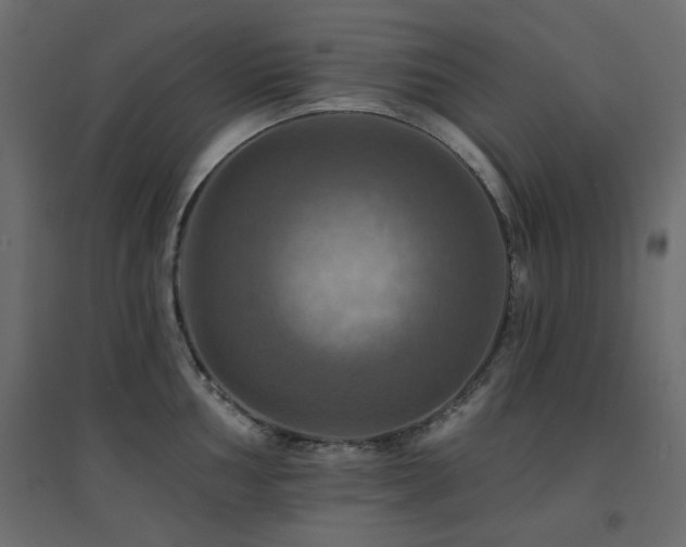 X0000094901002200711291228