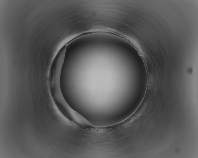 X0000094901003200711291228