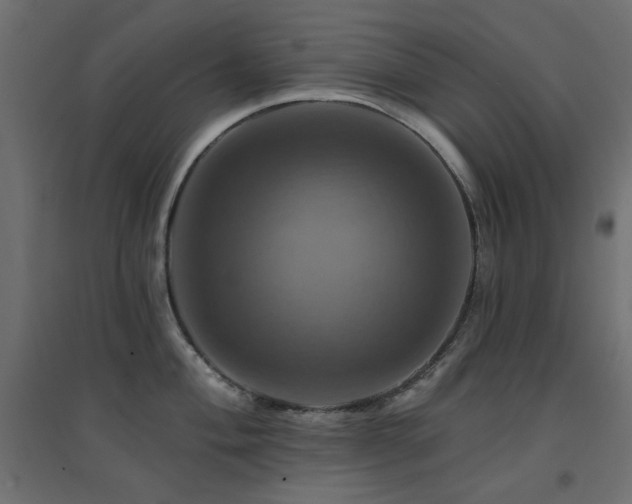 X0000094901004200711291228