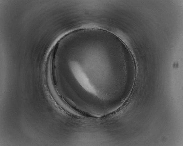 X0000094901008200711291228