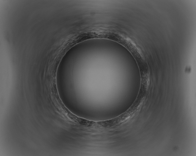 X0000094901009200711291227