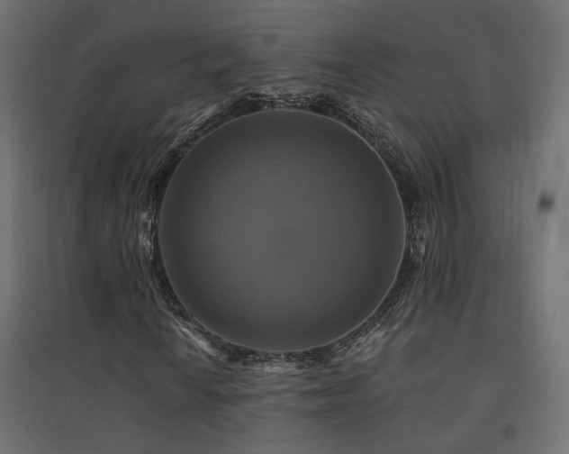 X0000094901010200711291227