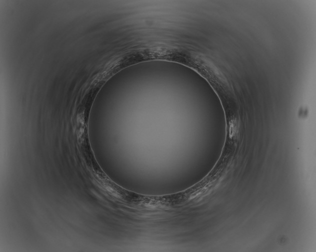 X0000094901011200711291227