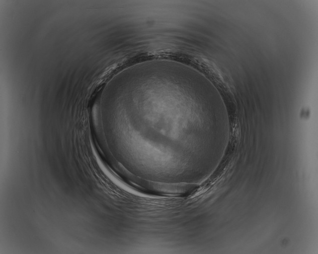 X0000094901012200711291227