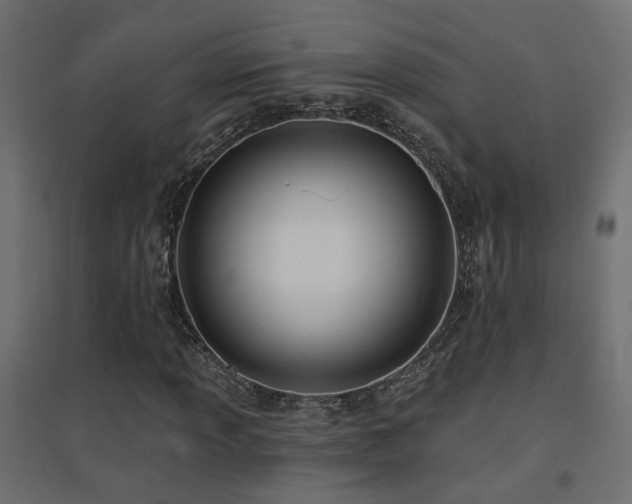 X0000094901013200711291227