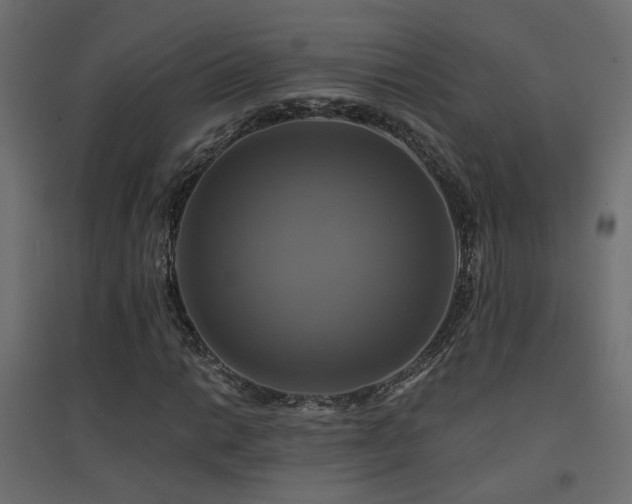 X0000094901014200711291227