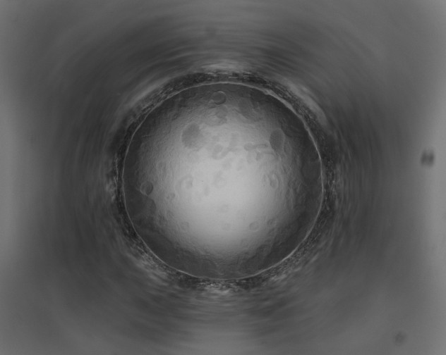 X0000094901015200711291227