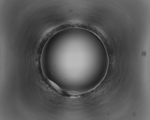 X0000094901016200711291227