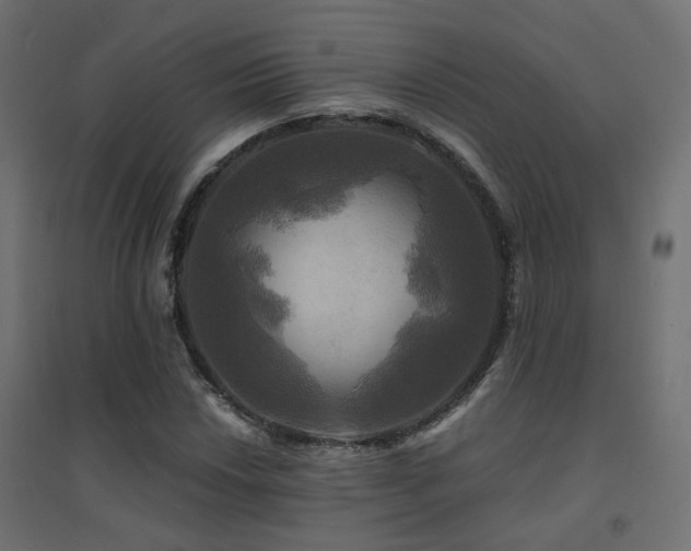 X0000094901018200711291227