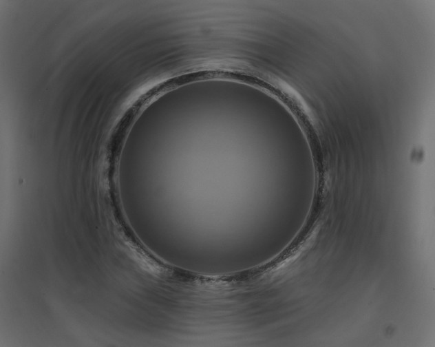 X0000094901019200711291227