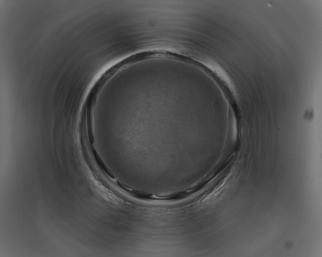 X0000094901020200711291227