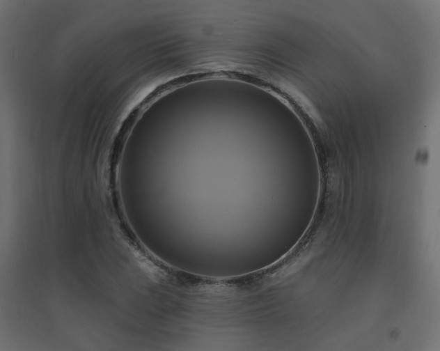 X0000094901023200711291227