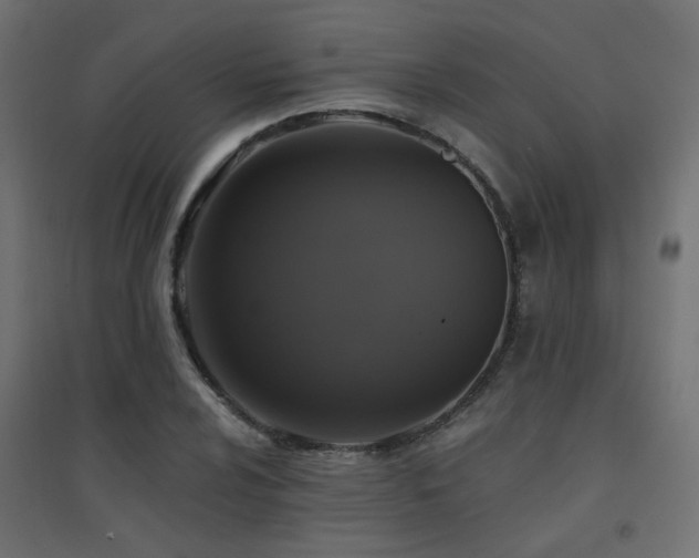 X0000094901024200711291227