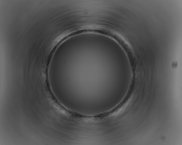 X0000094901025200711291227