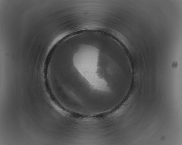 X0000094901026200711291227
