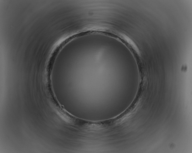X0000094901027200711291227