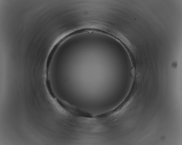 X0000094901028200711291227